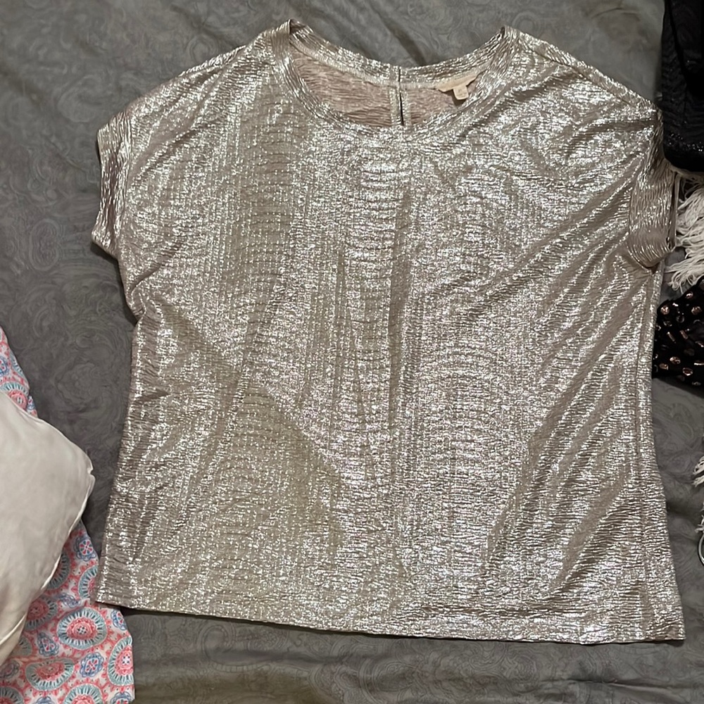 Shimmery, silver, loosefitting blouse